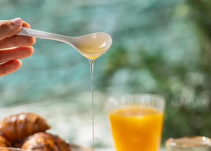 Hotel Olive Boutique 4*