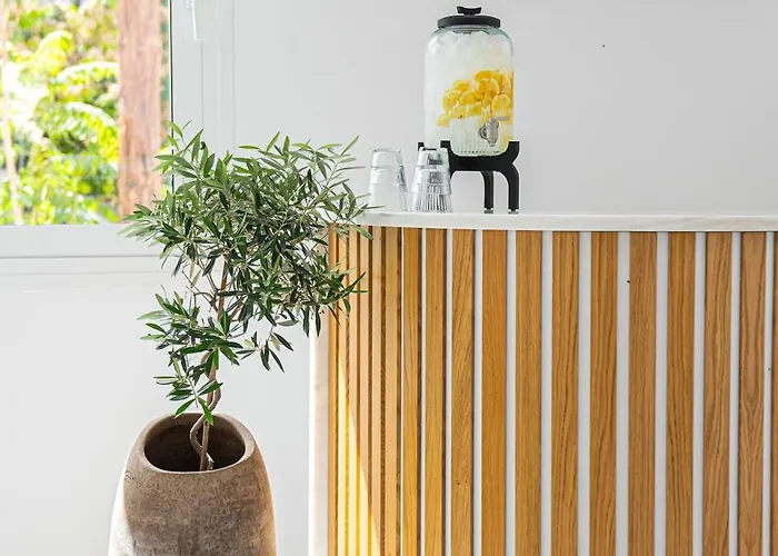 Olive Boutique Limenaria (Thasos)